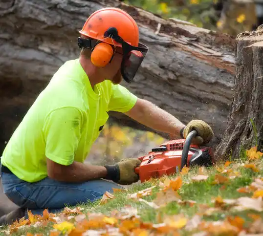 tree services Enochville